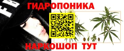 spice Балаково