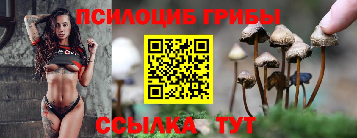 где можно купить   Галлюциногенные грибы Psilocybine cubensis  Вход с VPN  Ейск  Псилоцибиновые грибы Psilocybine cubensis 