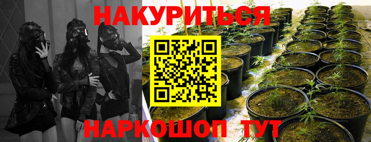 МАРИХУАНА Bruce Banner  Бошки Шишки LSD WEED  Ейск  Шишки марихуана конопля  Вход с VPN 